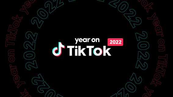 TikTok releases report for the 2022 year
