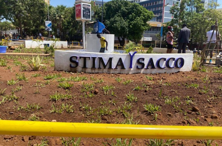  Stima DT Sacco Goes Ham On Tech, Revamps Systems For Efficiency